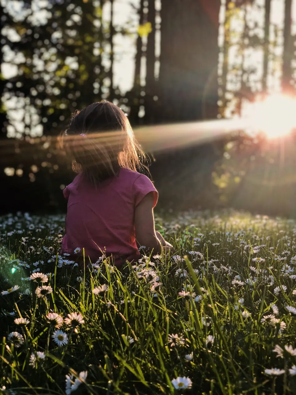 Child sitting in a flowering meadow in backlight